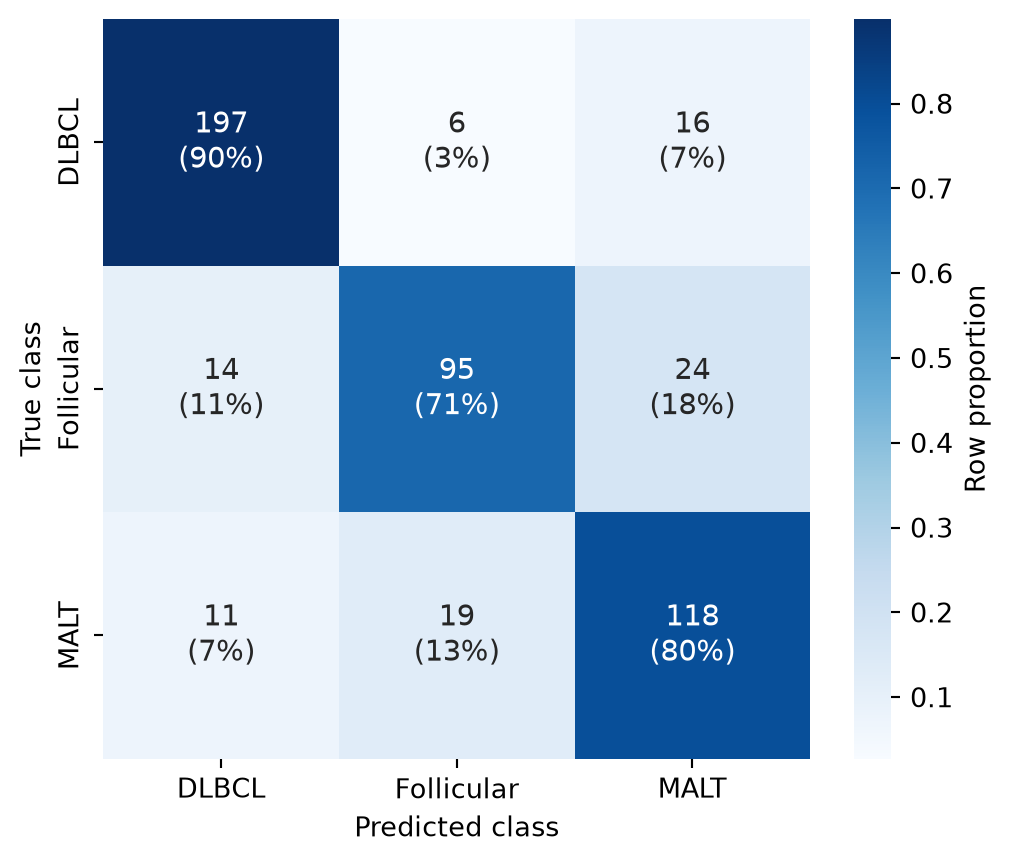 Confusion Matrix (Python) – A Biomedical Visualization Atlas