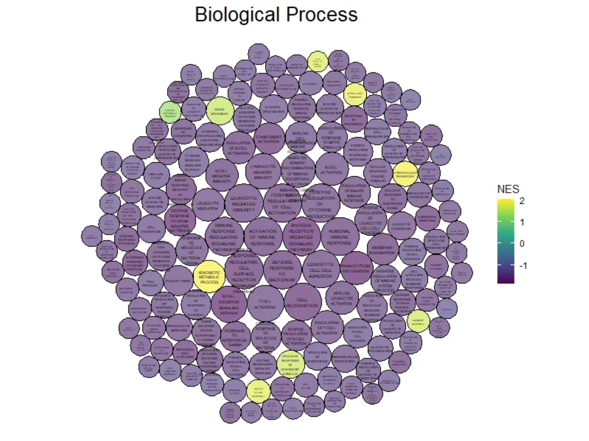 CircularPacking Plot DEMO