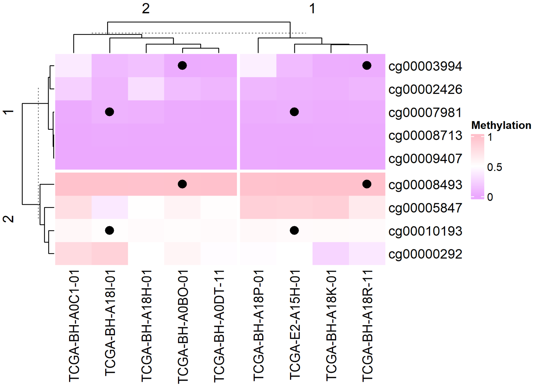 ComplexHeatmapFig5-3