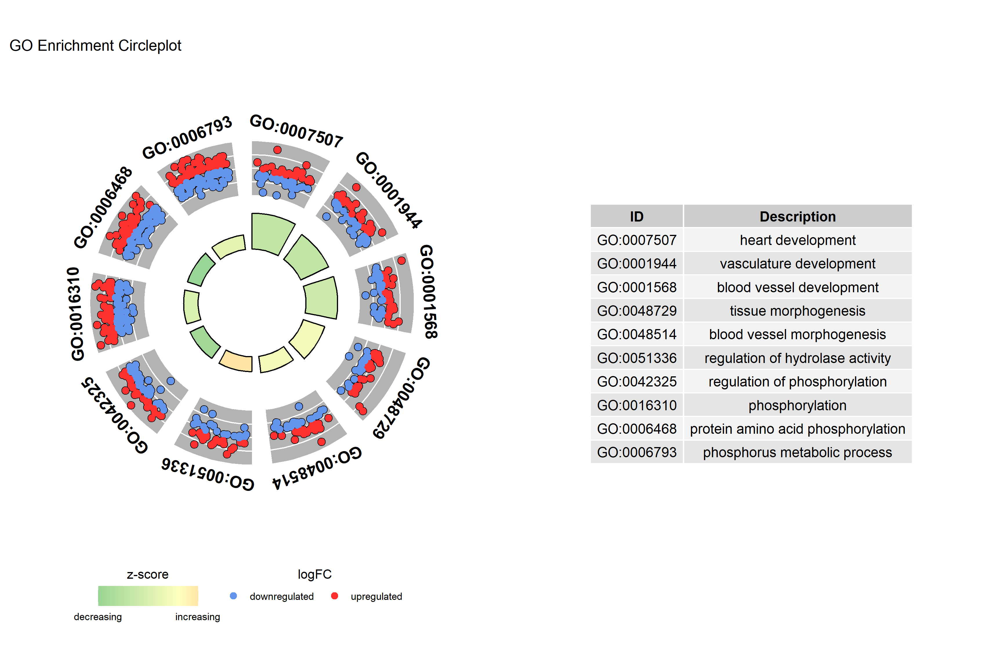 GOCircle Plot