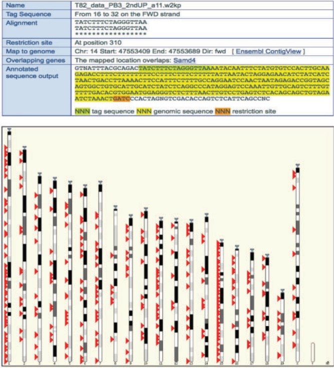 ChromosomePlotApp1