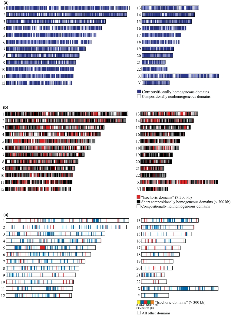 ChromosomePlotApp2