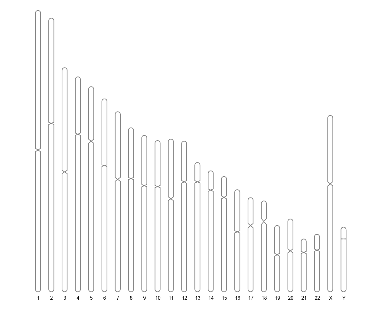 Basic Chromosome Plot