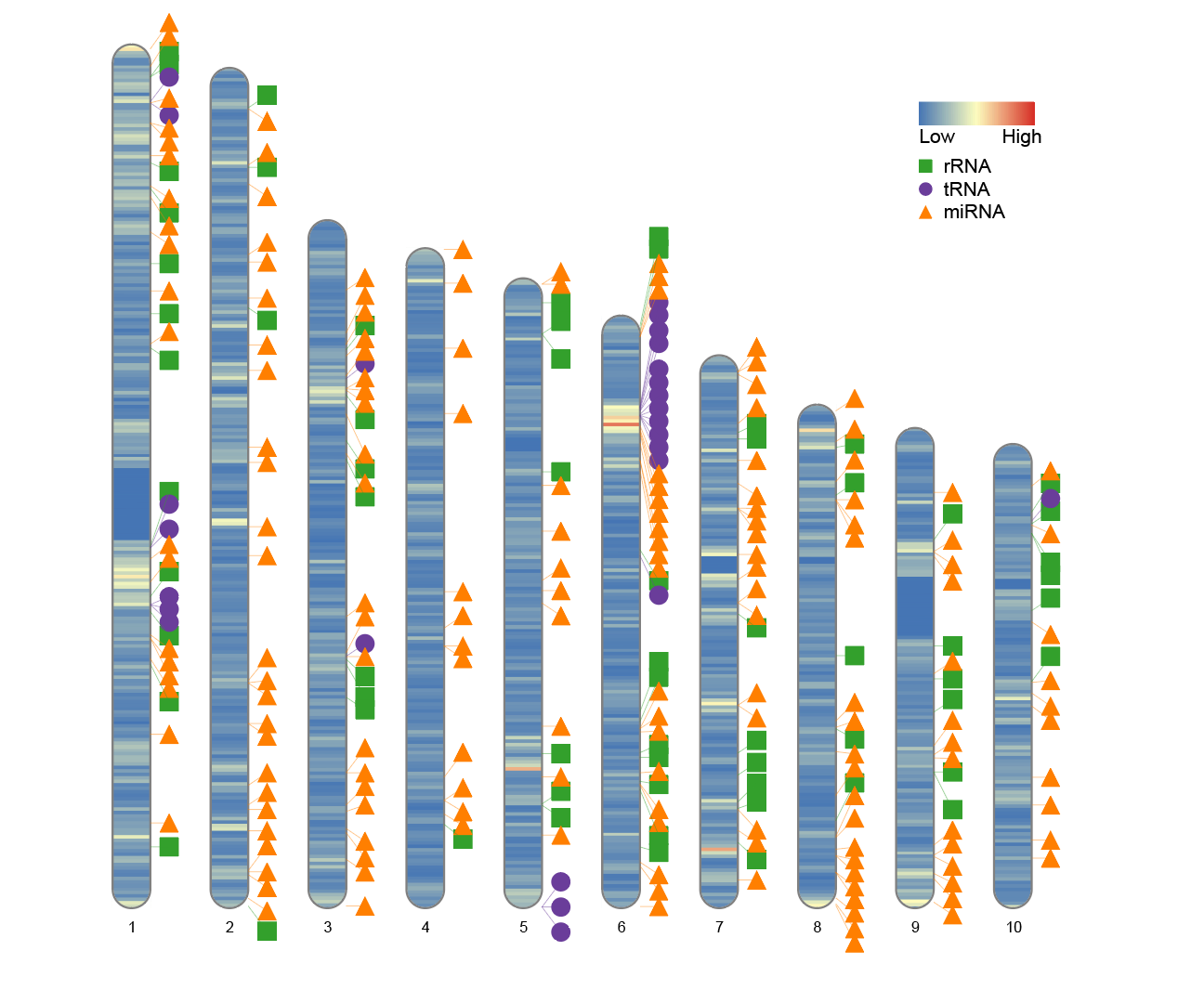 Width setting when only part of the chromosome is used