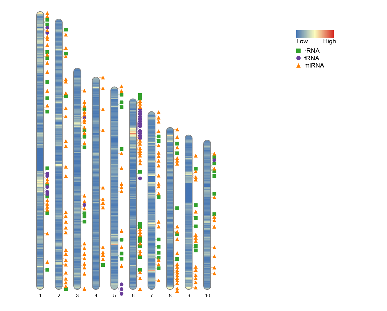 Width setting when only part of the chromosome is used