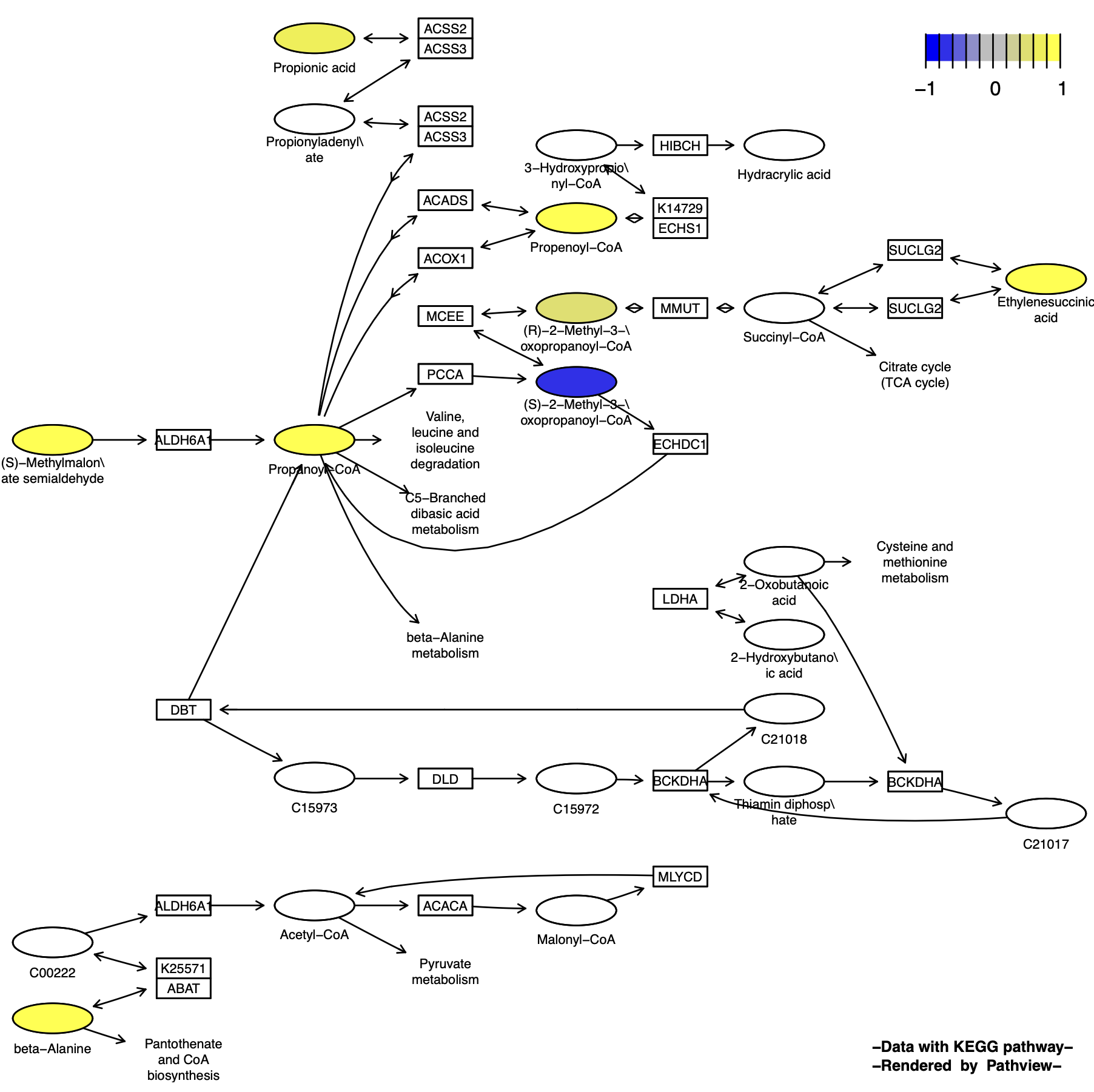 KeggPathwayPlot_fig1-10