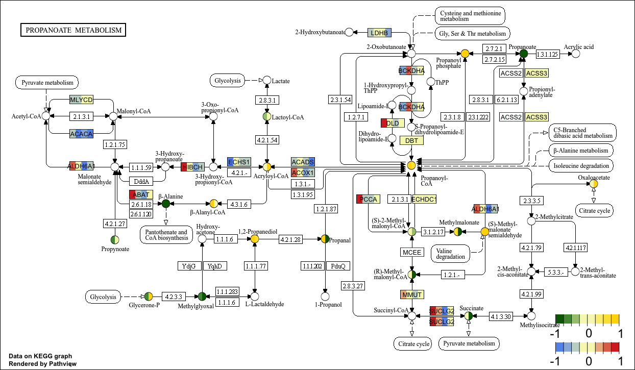 KeggPathwayPlot_fig1-11