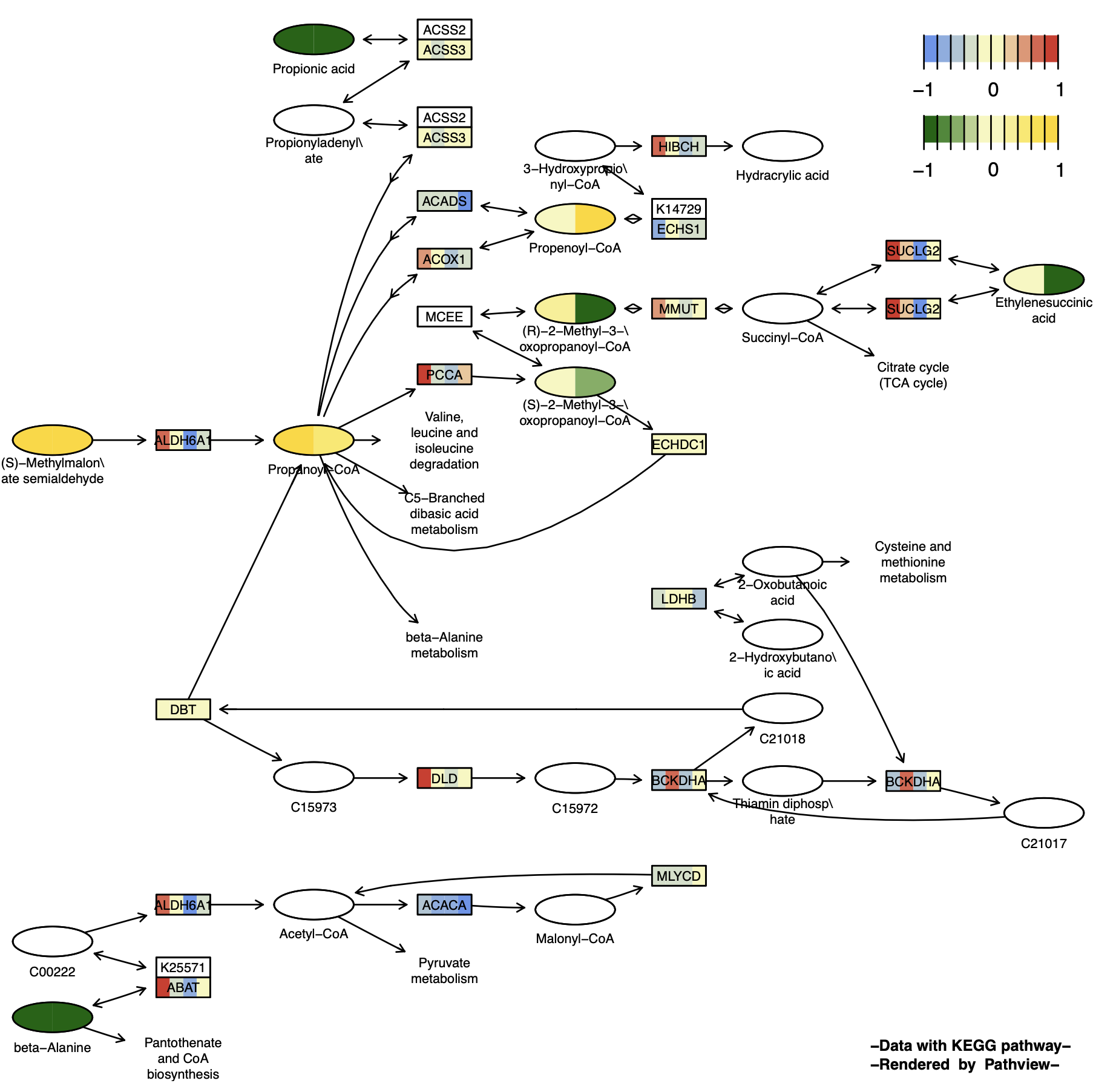 KeggPathwayPlot_fig1-12