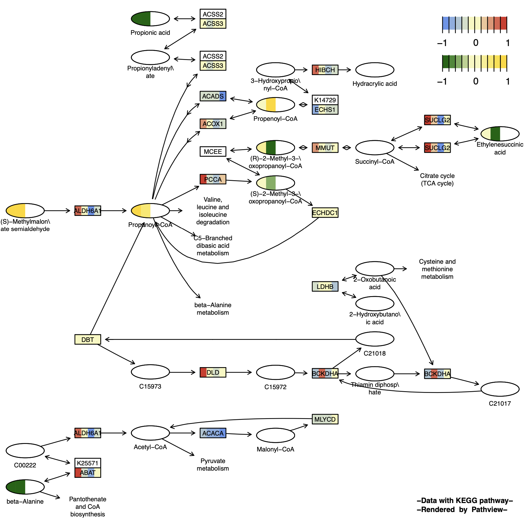 KeggPathwayPlot_fig1-13