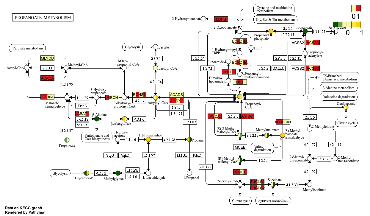 KeggPathwayPlot_fig1-14