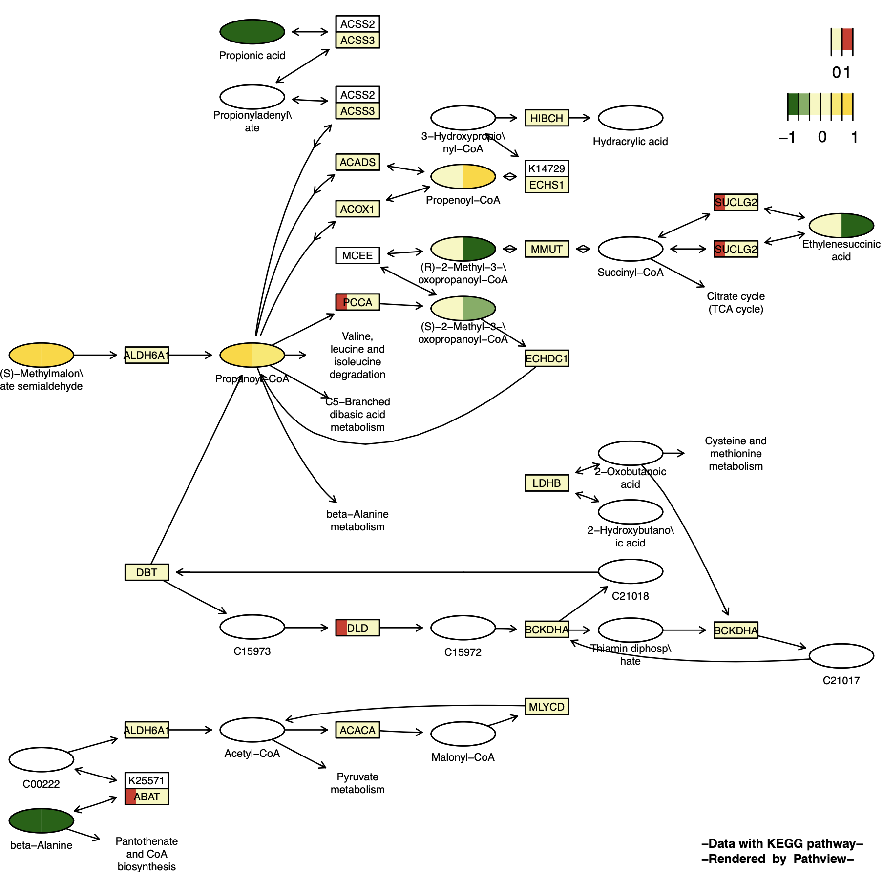 KeggPathwayPlot_fig1-15