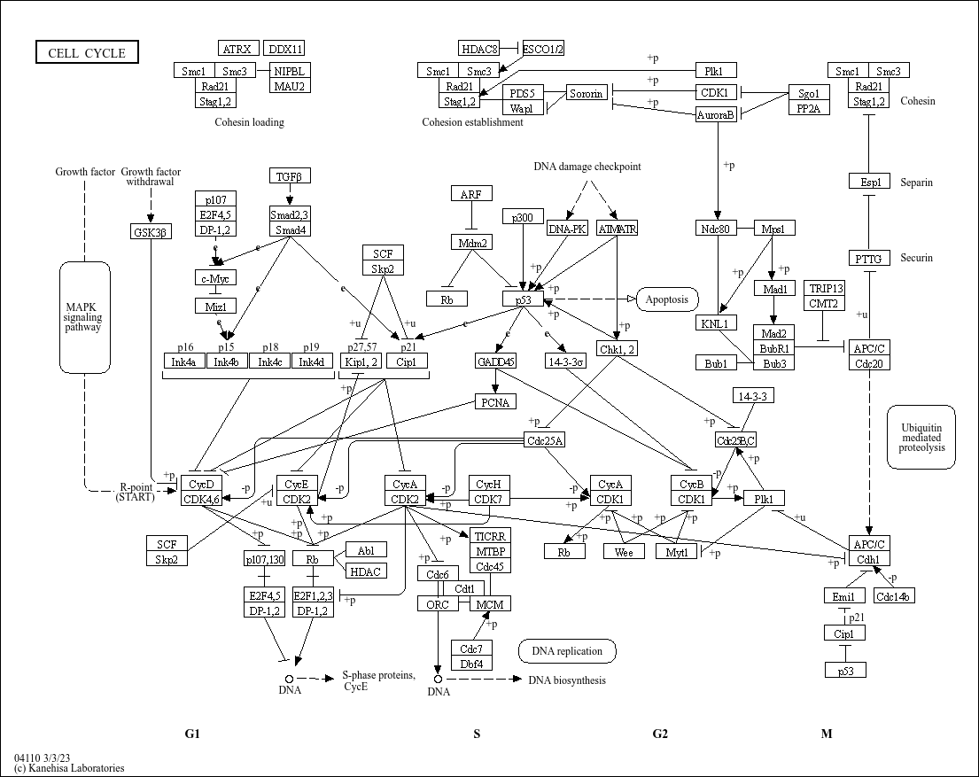 KeggPathwayPlot_fig1-2