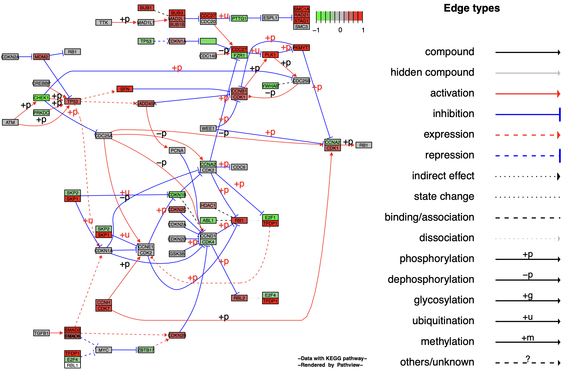 KeggPathwayPlot_fig1-3