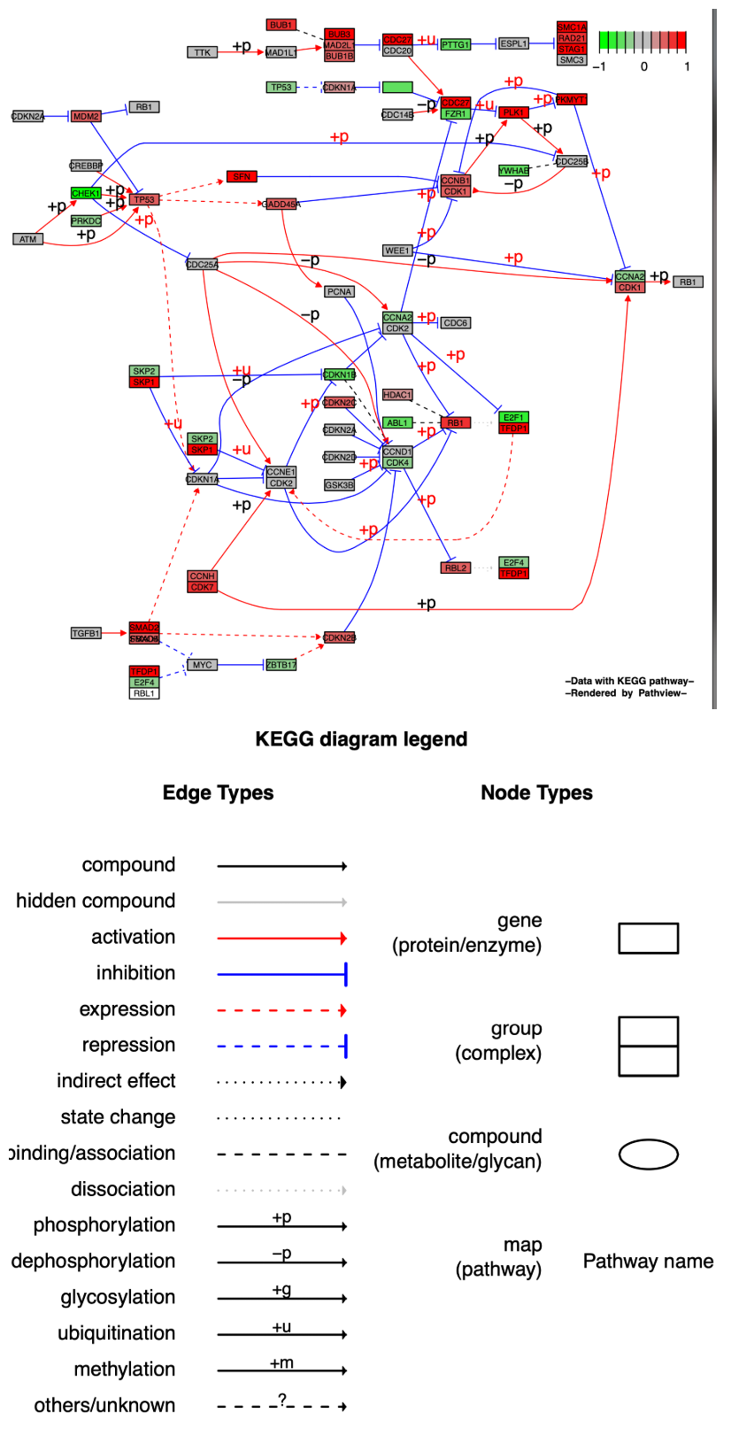 KeggPathwayPlot_fig1-4