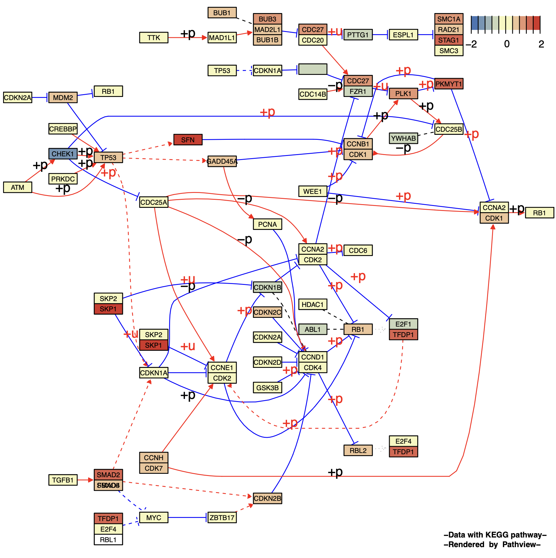 KeggPathwayPlot_fig1-5