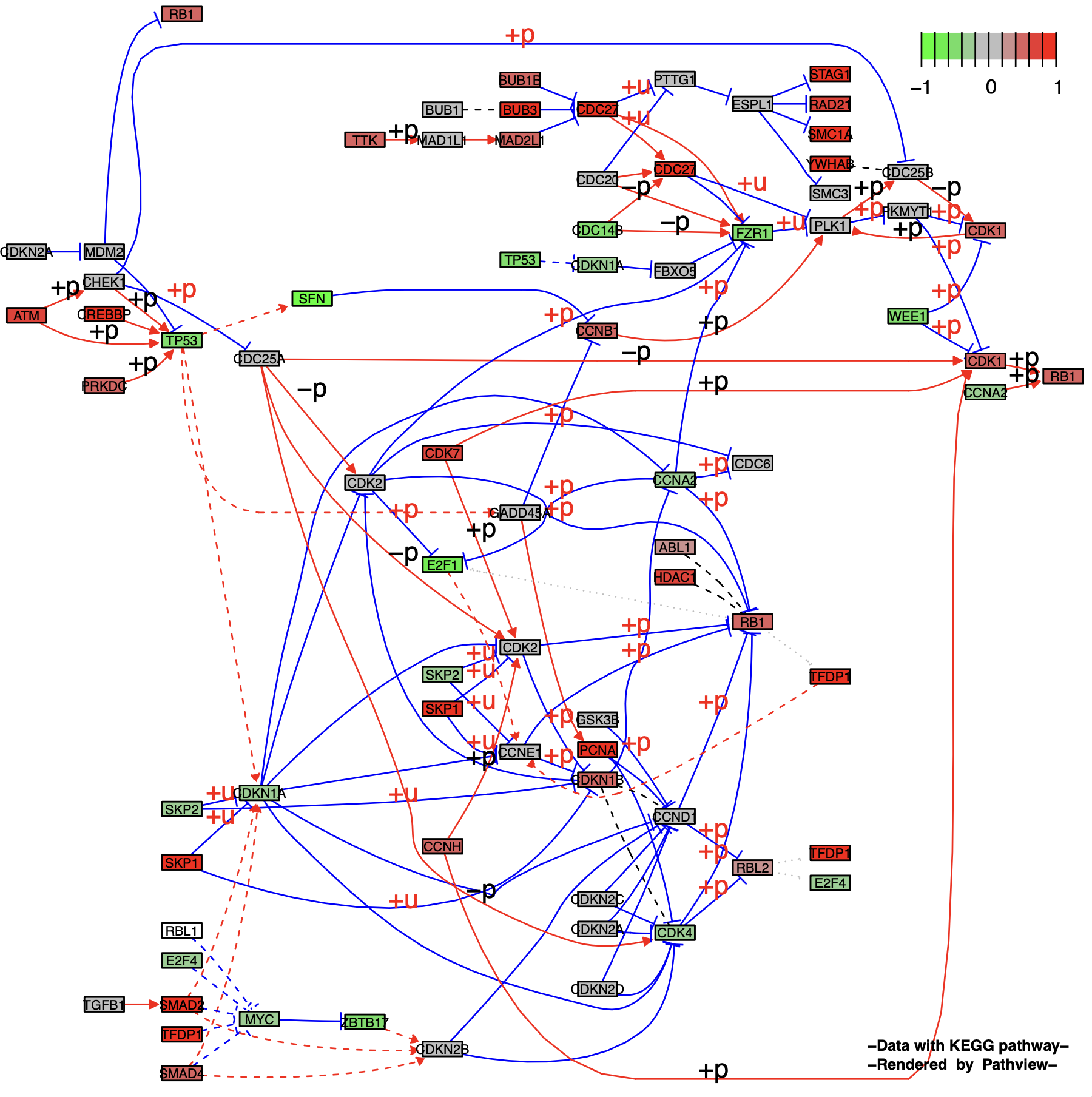 KeggPathwayPlot_fig1-6