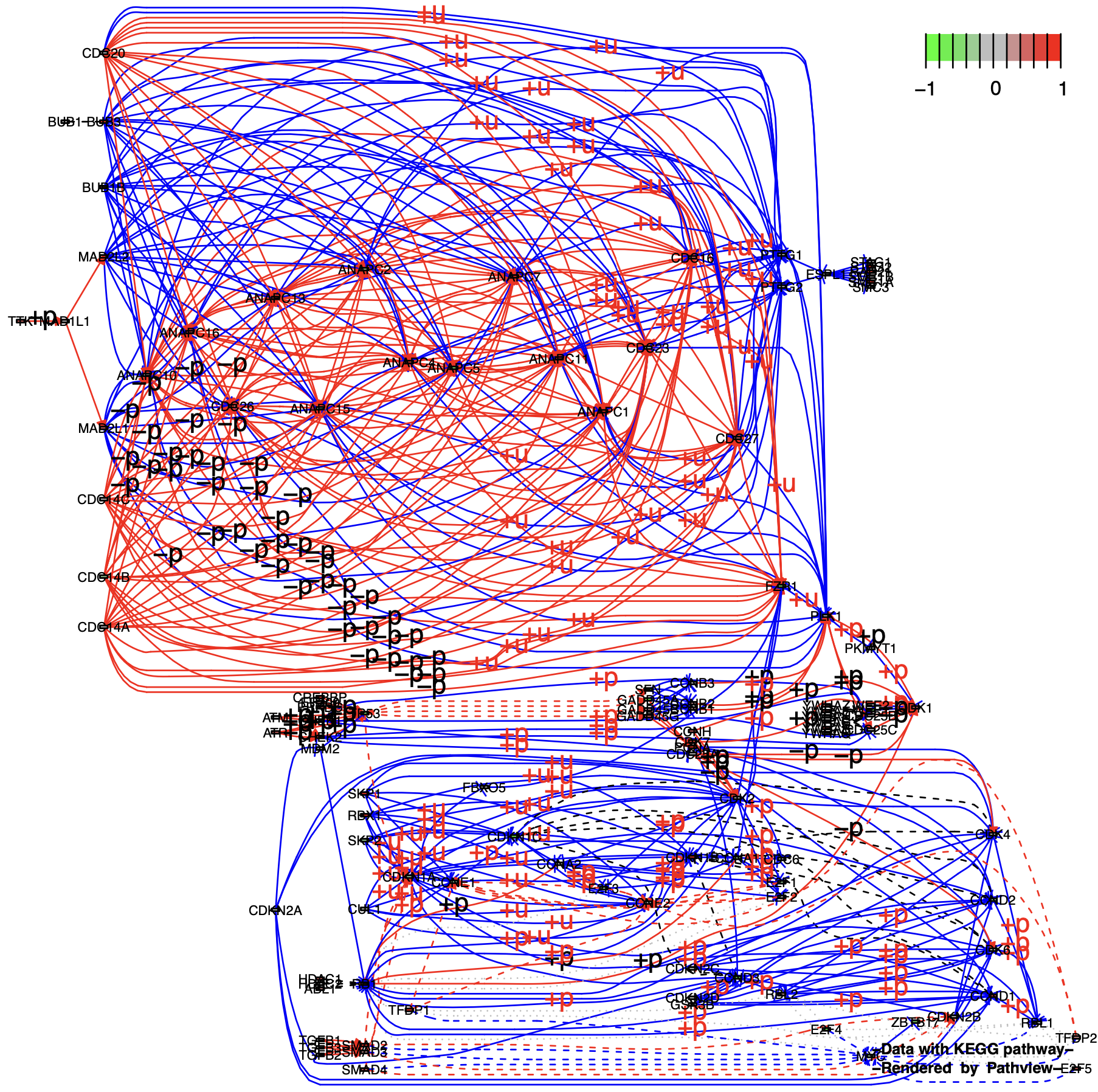KeggPathwayPlot_fig1-7