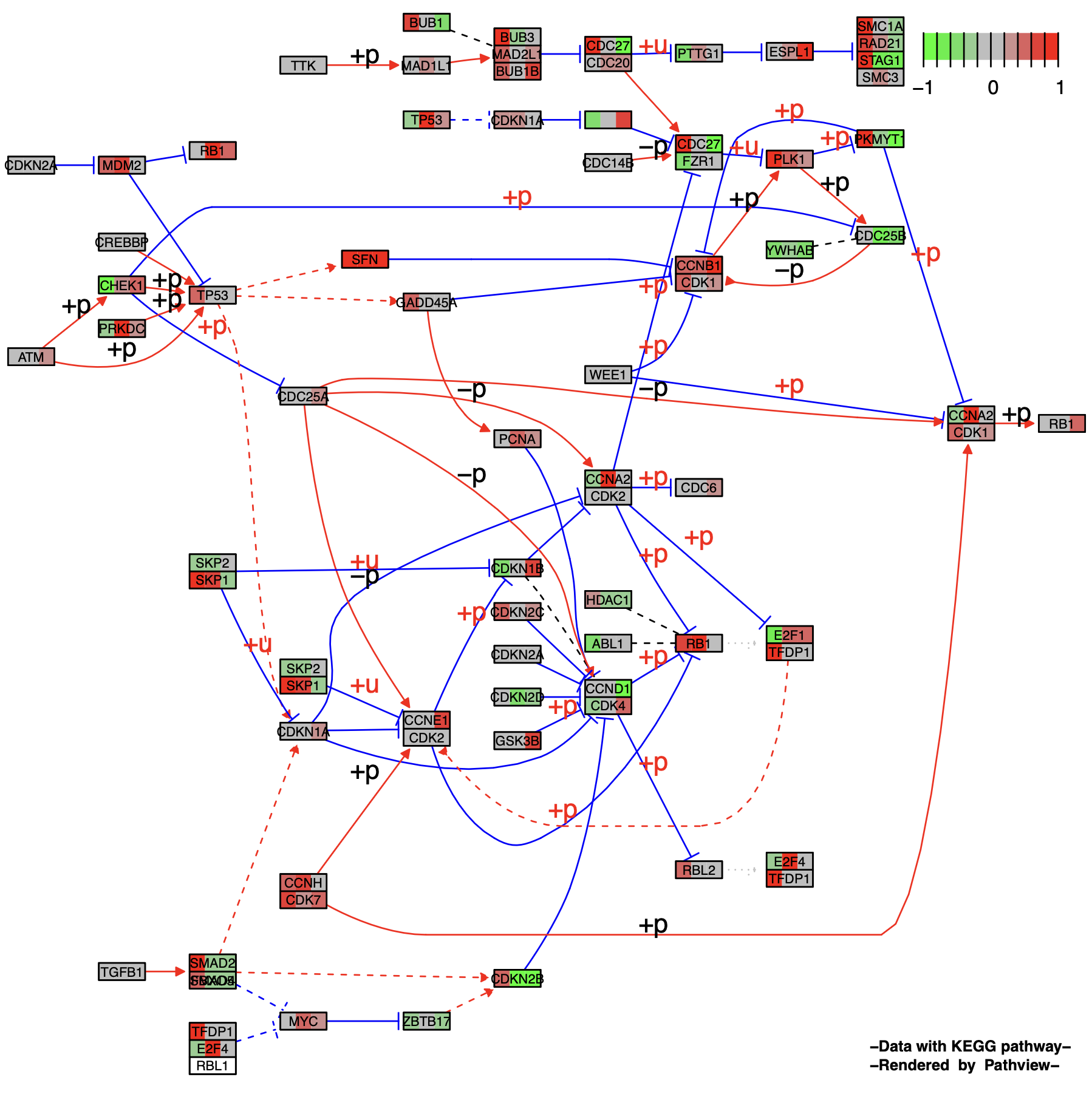 KeggPathwayPlot_fig1-8