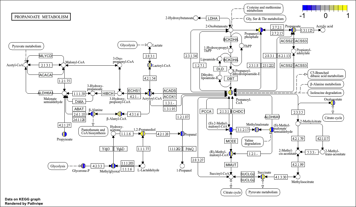 KeggPathwayPlot_fig1-9
