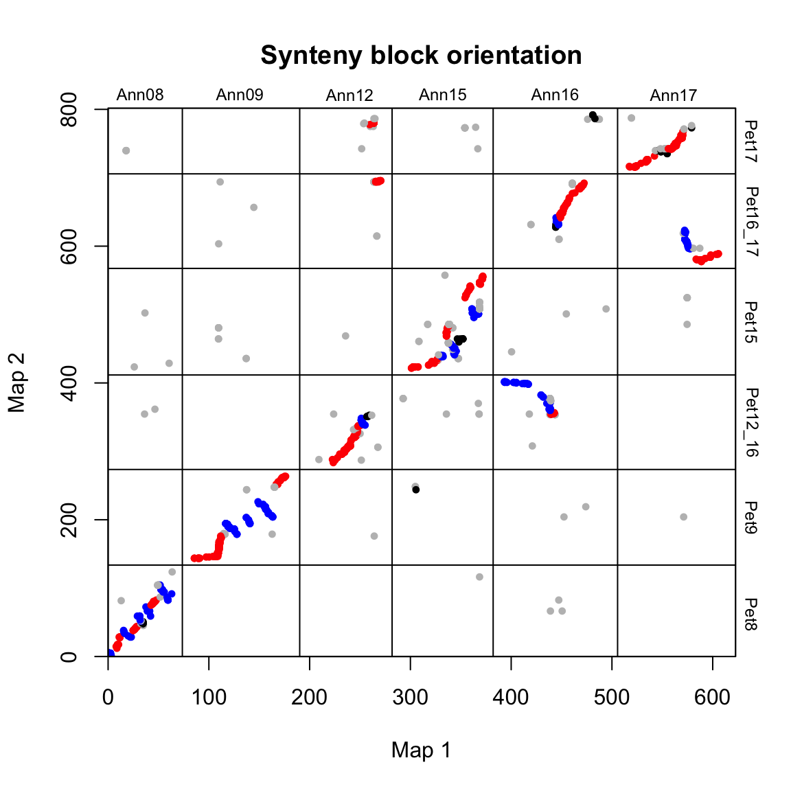 SyntenyBlocksPlot DEMO1