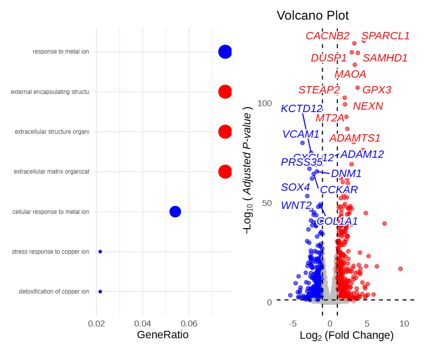 Pathway and volcano plot linkage application