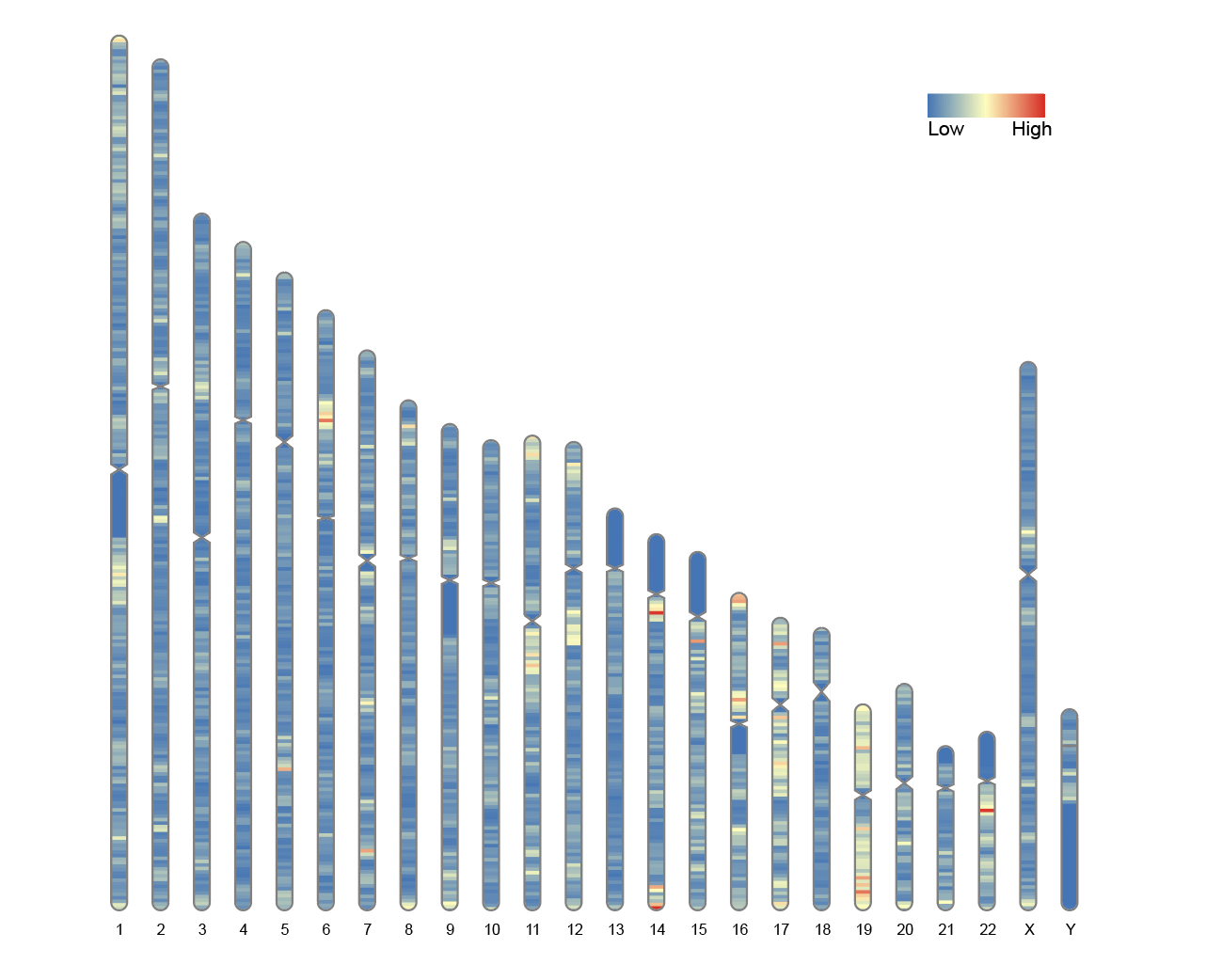 包含热图的染色体图