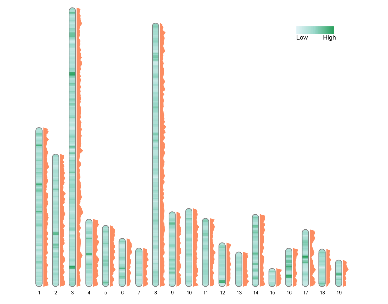 单个多边形标签